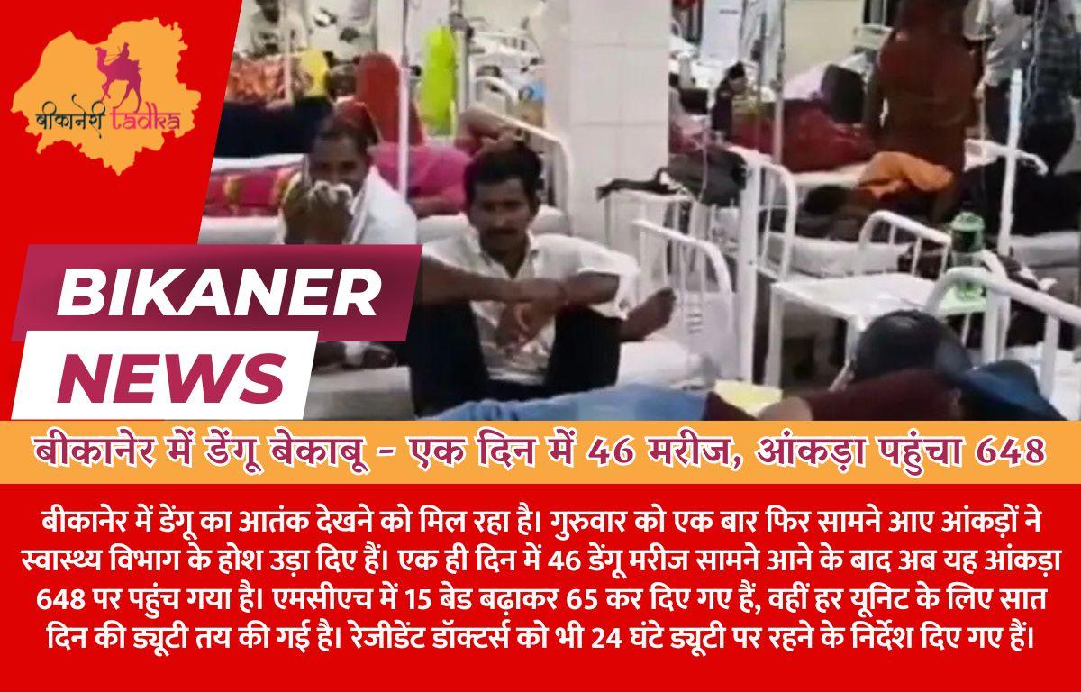 बीकानेर में डेंगू बेकाबू - स्वास्थ्य विभाग में हडंकंप, एक दिन में 46 मरीज, आंकड़ा पहुंचा 648